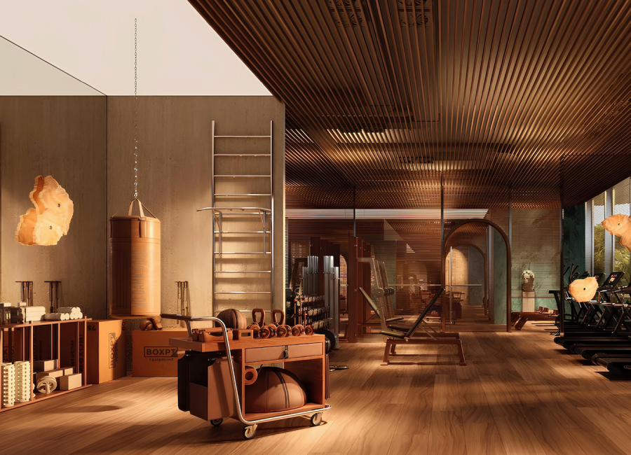 Le Chateau Pietrus project - 04